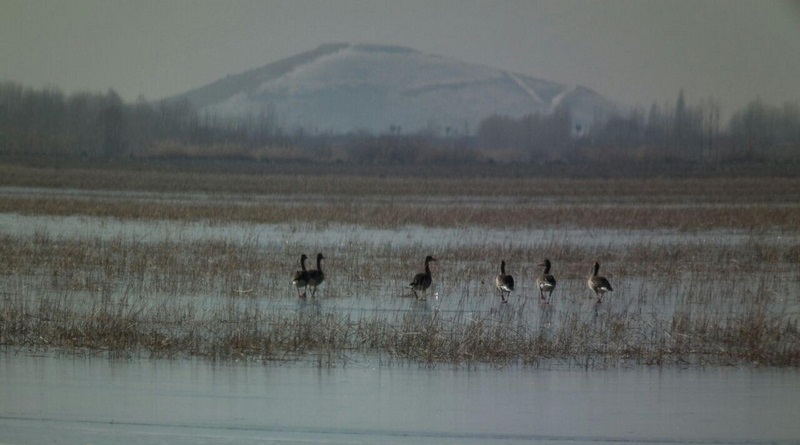 مهاباد، کلکسیونی از جاذبههای طبیعی و تاریخی