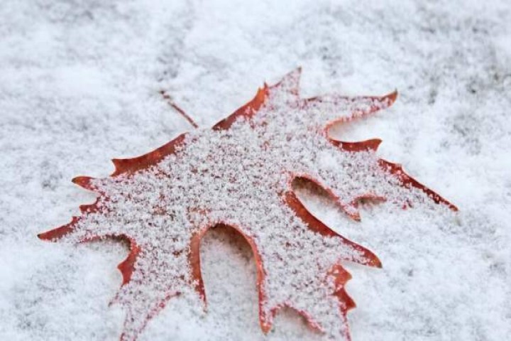 آذربایجانغربی سفیدپوش شد