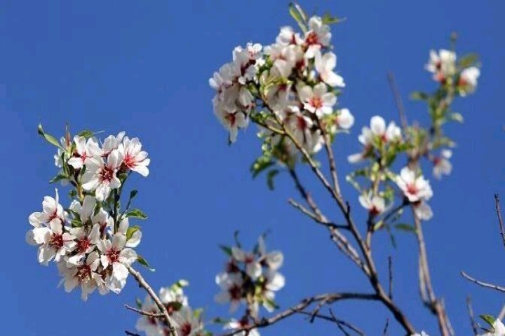 پیشبینی افزایش دما در آذربایجان غربی