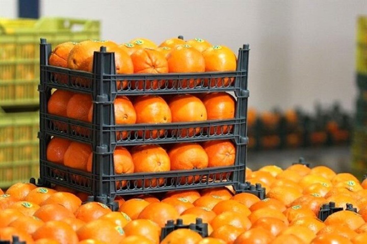 آغاز توزیع کالا‌های اساسی در بازارچه‌های جهاد کشاورزی آذربایجان‌غربی