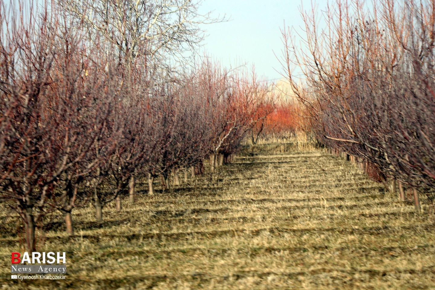 طبیعت زیبای تالاب روستای گلمرز ارومیه