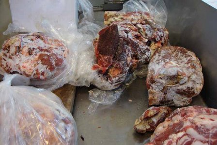 توزیع و فروش گوشتهای آلوده به تب برفکی +تصاویر
