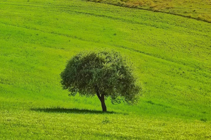 استقرار جو آرام و پایدار در آذربایجانغربی