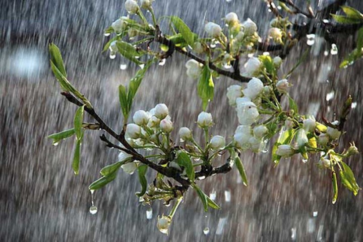 بارشهای رگباری شمال آذربایجان غربی را فرا میگیرد