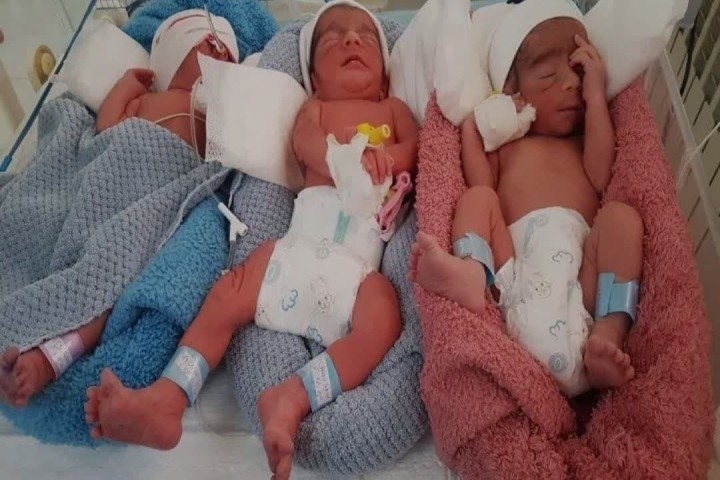 تولد سهقلوها در خوی