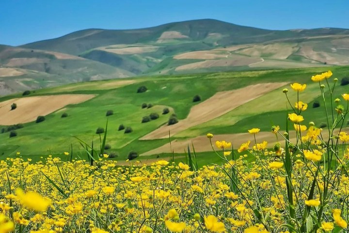 استقرار جو آرام و پایدار در آذربایجانغربی