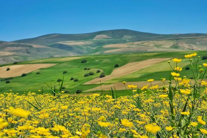 استقرار جو آرام و پایدار در آذربایجانغربی
