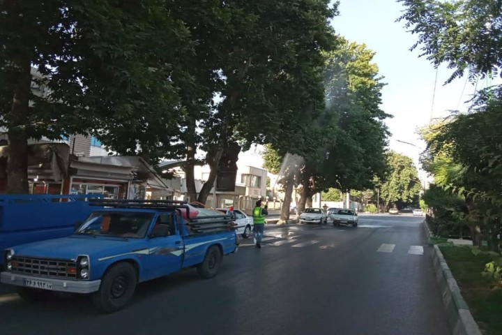 تداوم سمپاشی درختان معابر شهری بصورت شبانهروزی