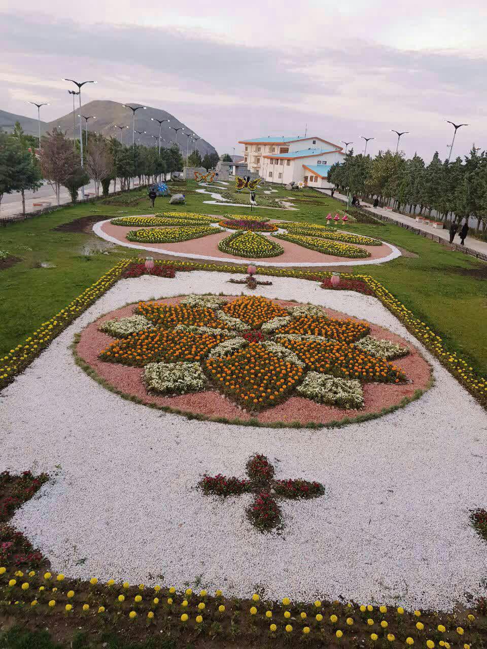 کاشت 250 هزار بوته گل در دهکده چیچست