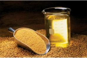 نبود کارخانجات روغنکشی، از مهمترین کمبودهای آذربایجانغربی در حوزه صنایع تبدیلی و تکمیلی است/ دانههای روغنی استان برای استحصال روغن به کرج منتقل میشود نبود کارخانجات روغنکشی، از مهمترین کمبودهای آذربایجانغربی در حوزه صنایع تبدیلی و تکمیلی است