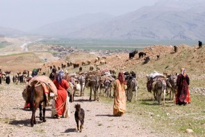 بازگشت عشایر آذربایجانغربی به ۳۳۶ آبادی مطلق عشایری با شروع قشلاق بازگشت عشایر آذربایجانغربی به ۳۳۶ آبادی مطلق عشایری با شروع قشلاق