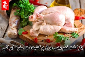 بازگشت تدریجی مرغ پرکشیده به سفره ایرانی بازگشت تدریجی مرغ پرکشیده به سفره ایرانی
