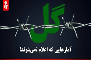 جوانههایی که گل نداده خاکستر میشوند جوانههایی که گل نداده خاکستر میشوند/آمارهای که اعلام نمیشوند!
