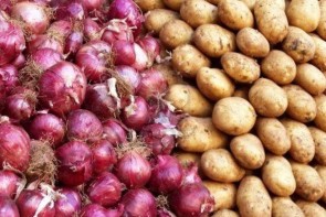 صادرات بی رویه، عامل افزایش قیمت پیاز در استان صادرات بی رویه، عامل افزایش قیمت پیاز در استان