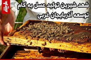 شهد شیرین تولید عسل به کام توسعه آذربایجان غربی شهد شیرین تولید عسل به کام توسعه آذربایجان غربی