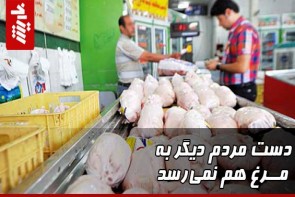 دست مردم دیگر به مرغ هم نمیرسد کارت ملی بیار مرغ ببر!