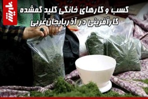 کسب و کارهای خانگی کلید گمشده کارآفرینی در آذربایجانغربی کسب و کارهای خانگی کلید گمشده کارآفرینی در آذربایجانغربی