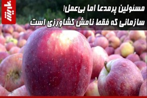 مسئولین پرمدعا اما بی‌عمل! سازمانی که فقط نامش کشاورزی است