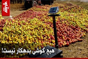 هیچ گوشی بدهکار نیست! کسی صدای کشاورزان آذربایجانغربی را نمیشنود
