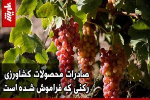 صادرات محصولات کشاورزی رکنی که فراموش شده است صادرات محصولات کشاورزی رکنی که فراموش شده است