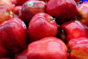 سیبهای غیر ارگانیک درهای صادرات را بست سیبهای غیر ارگانیک درهای صادرات را بست