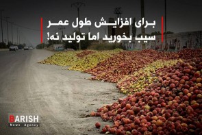 برای افزایش طول عمر سیب بخورید اما تولید نه! برای افزایش طول عمر سیب بخورید اما تولید نه!