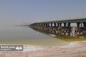 جوانان در انتظار حمایت برای تولید آرتمیا جوانان در انتظار حمایت برای تولید آرتمیا