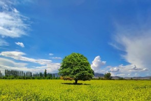 افزایش نسبی دما در آذربایجانغربی افزایش نسبی دما در آذربایجانغربی