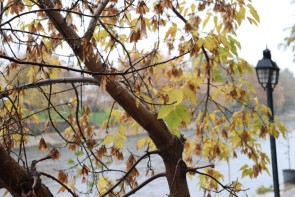 ورود سامانه بارشی به آذربایجان‌غربی