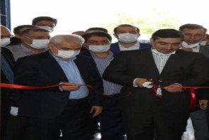 معاون وزیر هم کرونا را نادیده گرفت معاون وزیر هم کرونا را نادیده گرفت
