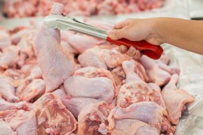 بازار مرغ ارومیه همچنان درگیر قیمتهای سلیقهای بازار مرغ ارومیه همچنان درگیر قیمتهای سلیقهای