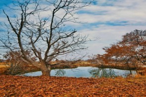 تداوم پایداری هوا در آذربایجان غربی تداوم پایداری هوا در آذربایجان غربی