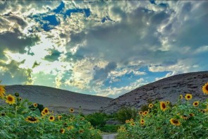 افزایش نسبی دما در آذربایجان‌غربی