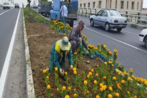 تداوم کاشت گل در بوستان های شهری ارومیه تداوم کاشت گل در بوستان های شهری ارومیه