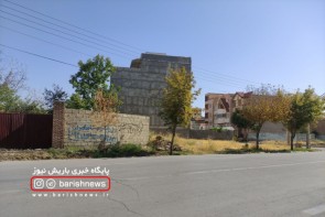 خشک شدن درختان در خیابان های ارومیه ، زیر سایه بی مهری مسئولان خشک شدن درختان در خیابان های ارومیه ، زیر سایه بی مهری مسئولان
