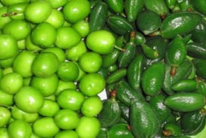قیمت میوه در میادین میوه و تره بار ارومیه قیمت میوه در میادین میوه و تره بار ارومیه