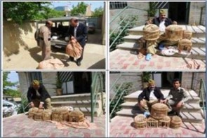 ندامت شکارچی قدیمی و کهنه کار زنده گیر کبک در بوکان بعد از 65سال ندامت شکارچی قدیمی و کهنه کار زنده گیر کبک در بوکان بعد از 65سال