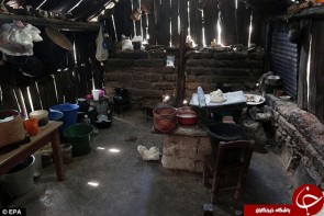قتل عام 11 عضو خانواده پس از تعرض به دختر بچه 9 ساله+تصاویر قتل عام 11 عضو خانواده پس از تعرض به دختر بچه 9 ساله+تصاویر