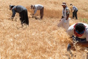 توسعه، پاشنه آشیل اشتغال پایدار روستا محور توسعه، پاشنه آشیل اشتغال پایدار روستا محور
