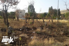 نابود کردن عمدی یک باغ در شهر ارومیه نابود کردن عمدی یک باغ در شهر ارومیه