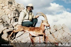 دستگیری قاتل حیات وحش ایران + تصاویر دستگیری قاتل حیات وحش ایران + تصاویر