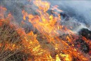 مانور اطفای حریق مراتع شمال آذربایجان غربی در شهرستان خوی برگزار شد مانور اطفای حریق مراتع شمال آذربایجان غربی در شهرستان خوی برگزار شد