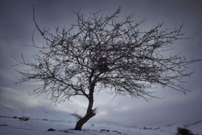 تداوم برودت هوا در آذربایجانغربی تداوم برودت هوا در آذربایجانغربی