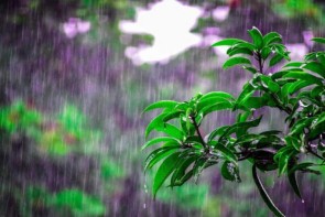 تداوم هشدار نارنجی بارش باران و تندباد در آذربایجان غربی تداوم هشدار نارنجی بارش باران و تندباد در آذربایجان غربی