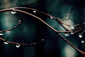 باران از شنبه مهمان کشور می شود/ورزقان 8 درجه زیر صفر باران از شنبه مهمان کشور می شود/ورزقان 8 درجه زیر صفر