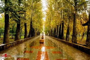 آغاز بارش باران در 5 استان/ فردا و پس فردا آلودگی بیشتر می شود آغاز بارش باران در 5 استان/ فردا و پس فردا آلودگی بیشتر می شود