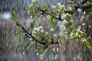 بارشهای رگباری شمال آذربایجان غربی را فرا میگیرد بارشهای رگباری شمال آذربایجان غربی را فرا میگیرد