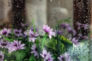 کاهش دمای هوا از روز شنبه در آذربایجان‌غربی