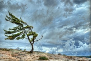 وزش باد و رشد ابر در آذربایجان غربی وزش باد و رشد ابر در آذربایجان غربی