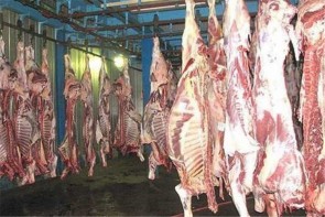 نظارت جدی بهداشت برای عرضه گوشت در بازار